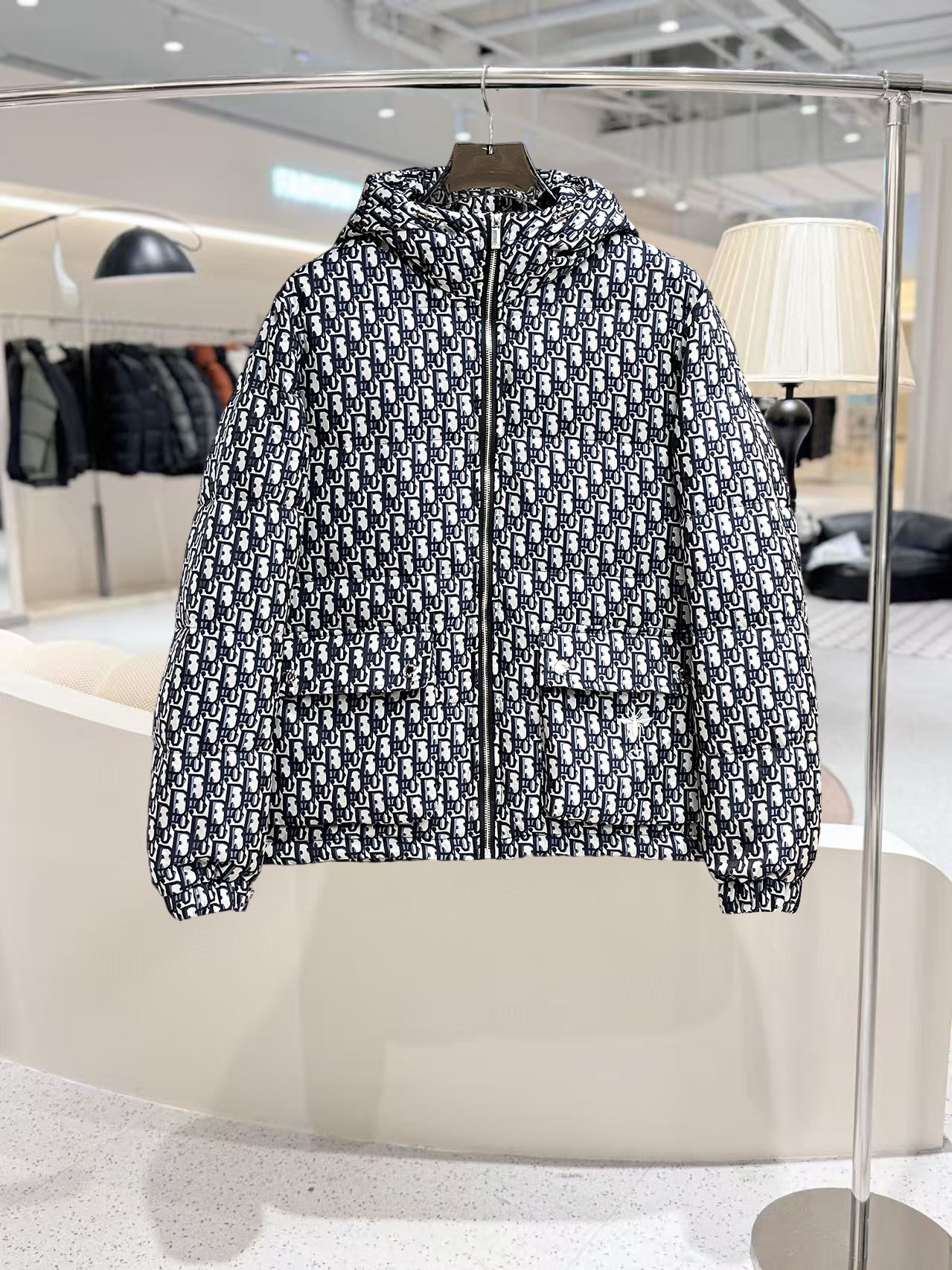 秋冬暖かい服 クリスチャンディオール ダウンジャケット アウター 恋人