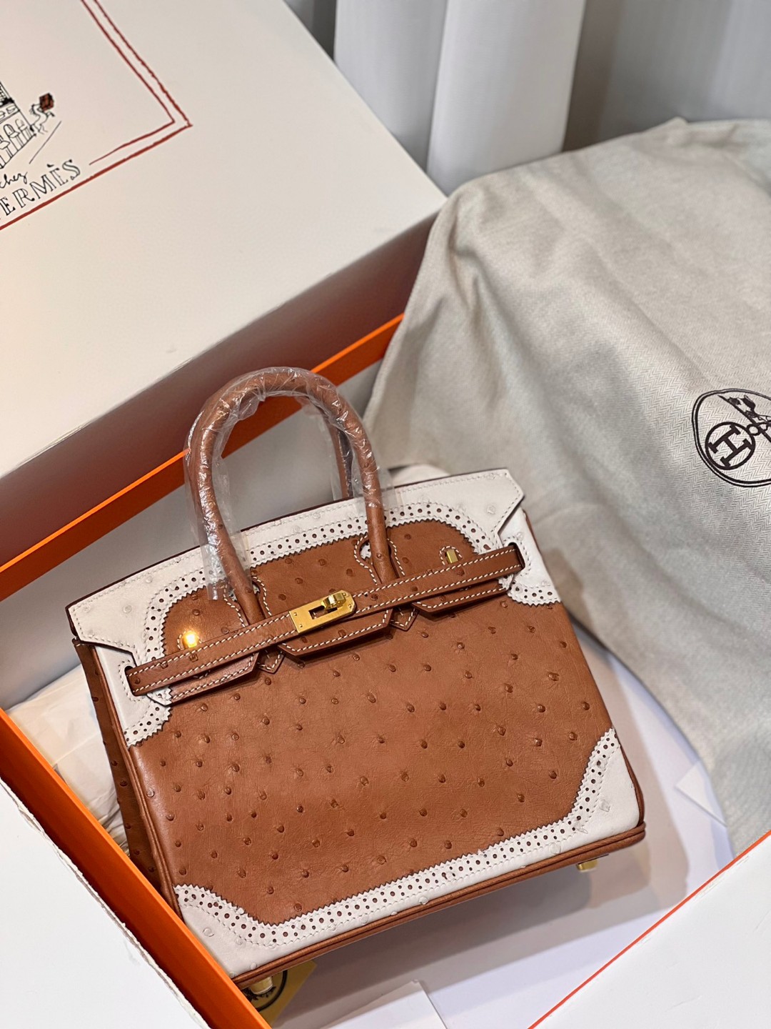 TOP エルメス オーストリッチ バーキン25CM 写真色/金具ゴールド