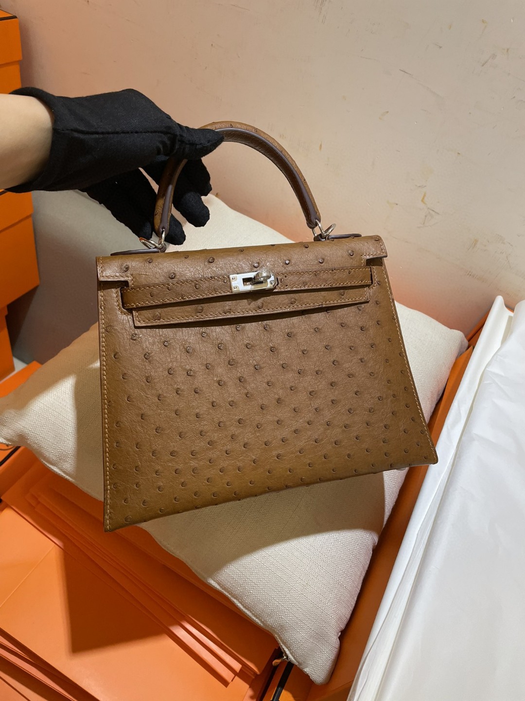 パーフェクト エルメス HERMES ケリー 25 オーストリッチ 2205