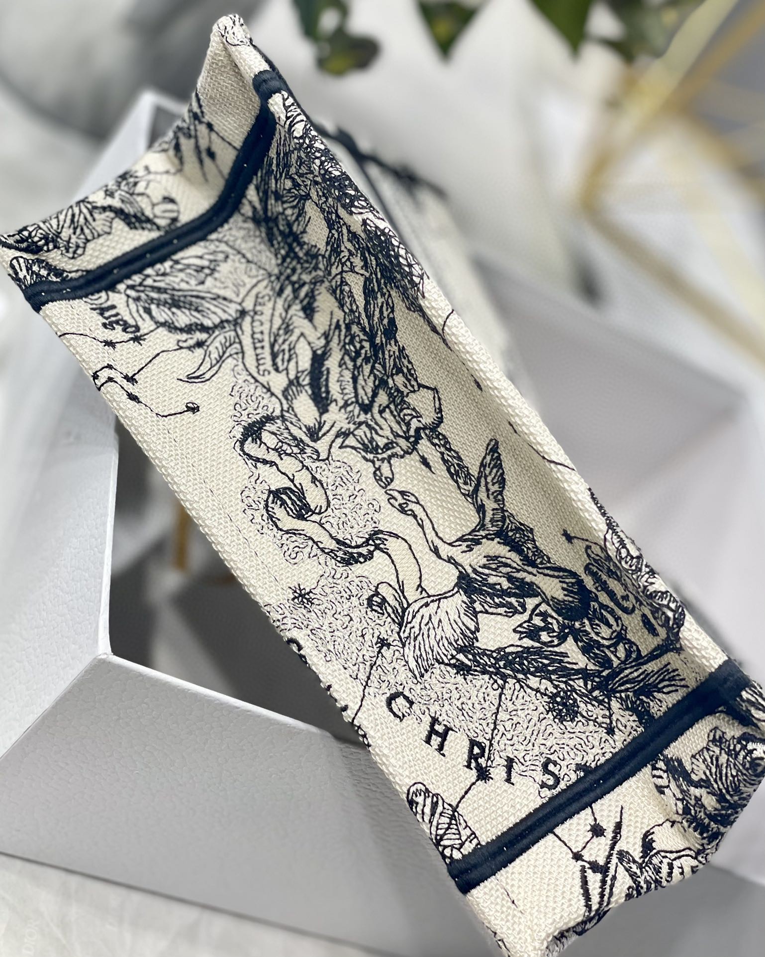 クリスチャンディオール 41.5 Book Tote トートバッグ 2204