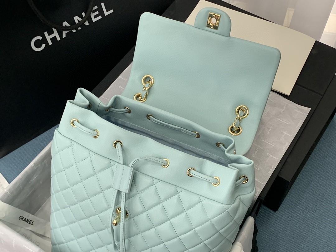CHANEL シャネル 超美品 大サイズ 後背包 リュック 2202