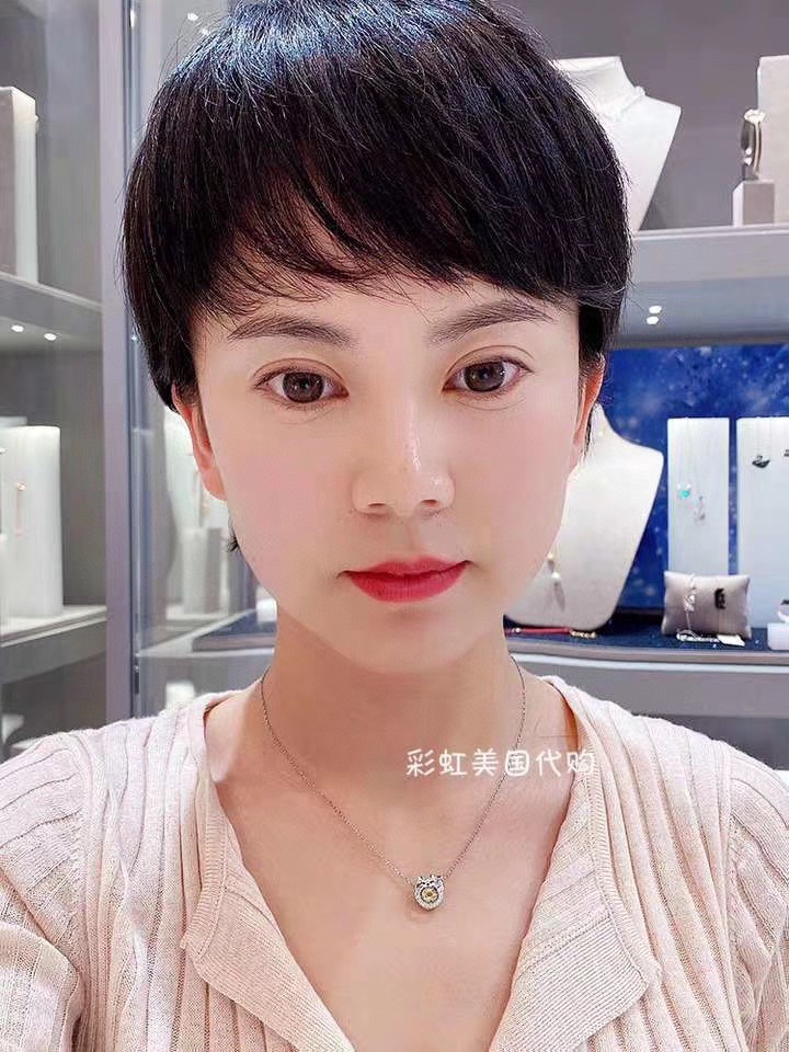 Swarovski スワロフスキー 超美品 ネックレス ペンダント