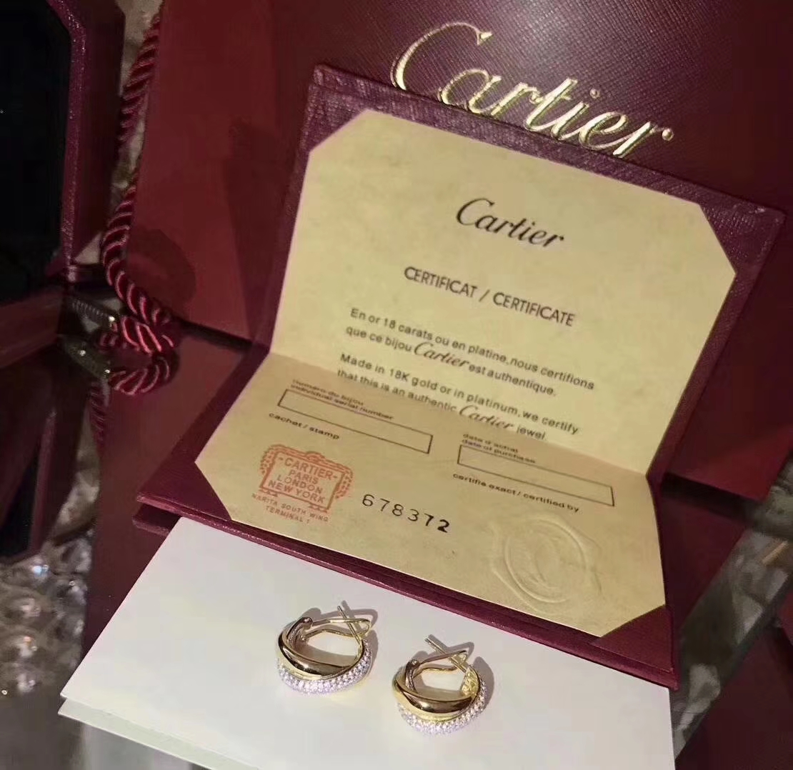 Cartier(カルティエ )2019新作 ピアス イアリング YY